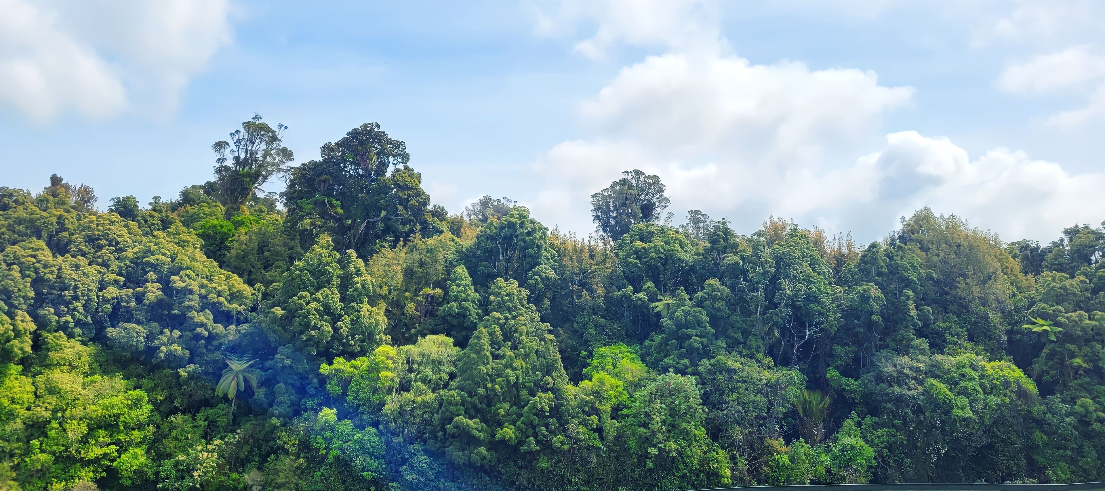 oak-and-i-natural-body-care-products-native-bush.jpg__PID:e5bc0d34-1265-4bf4-83f4-5b2cffa18e60